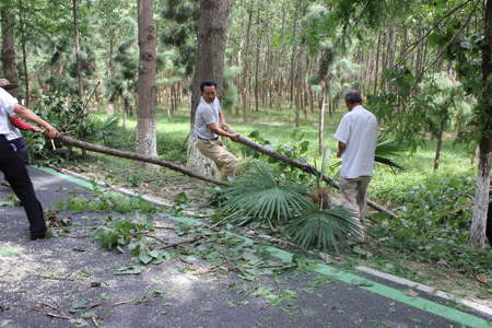 尊龙凯时 - 人生就是搏!