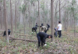 尊龙凯时 - 人生就是搏!