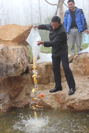 尊龙凯时 - 人生就是搏!