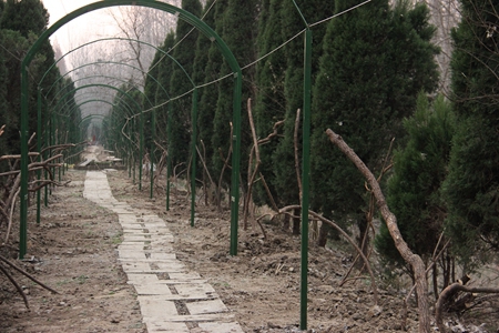 尊龙凯时 - 人生就是搏!