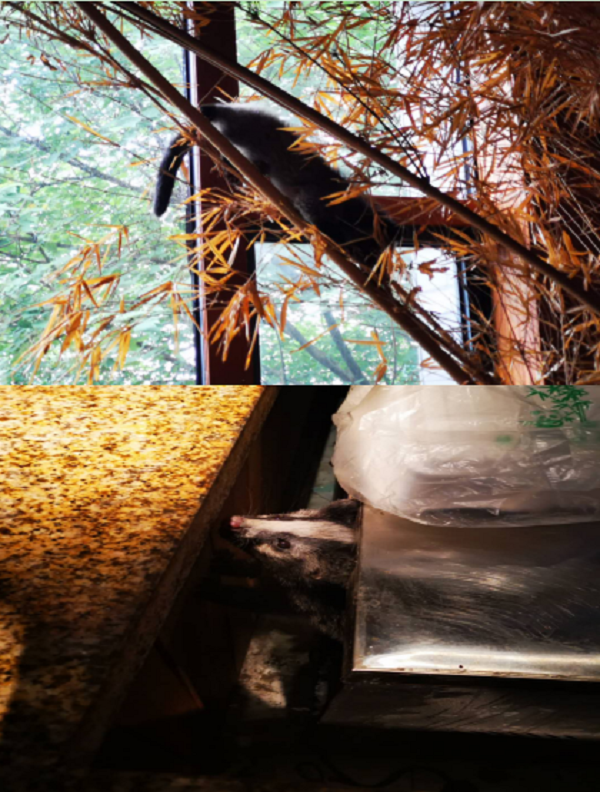 尊龙凯时 - 人生就是搏!